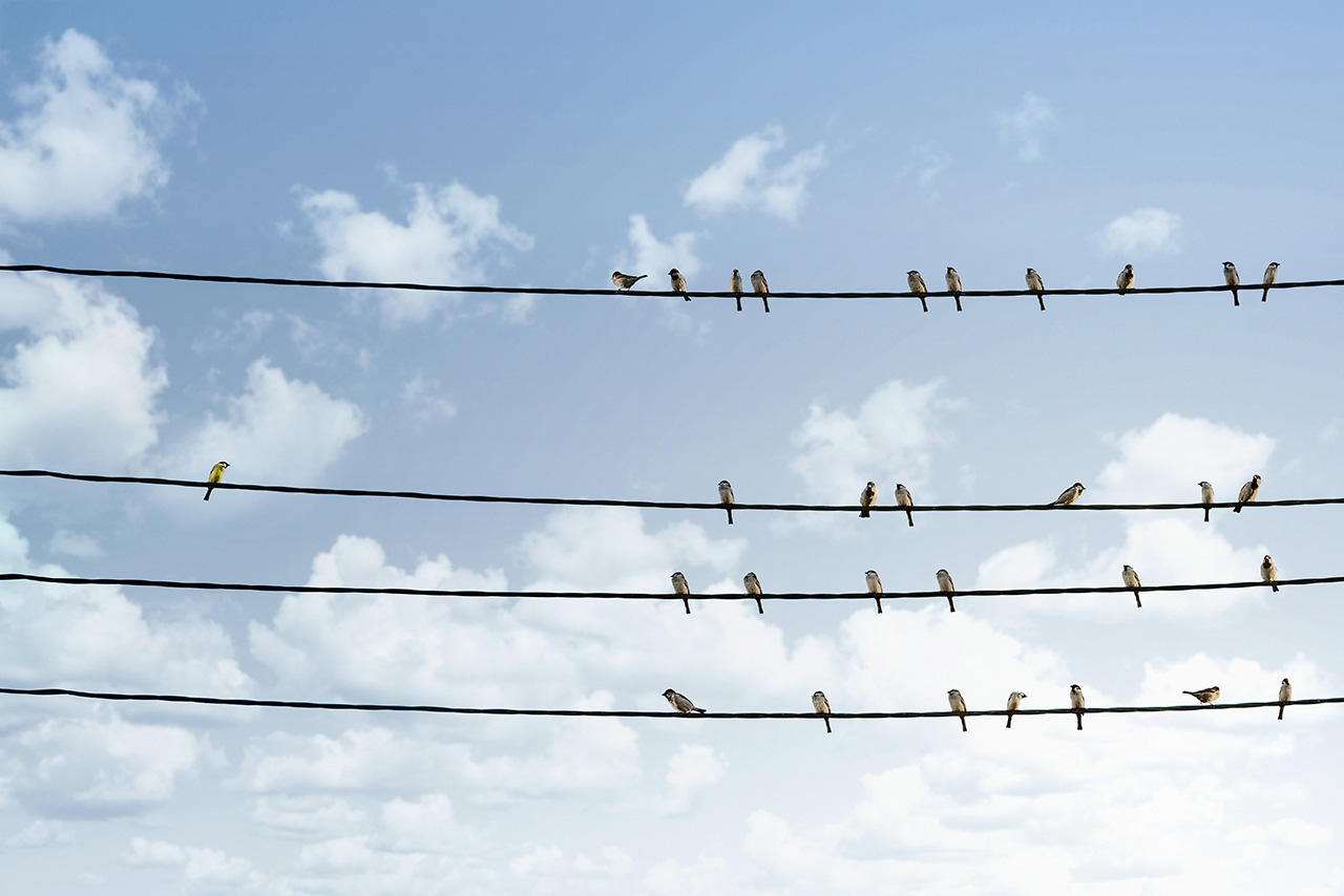 Looking Beyond the Jobsite: Find Skilled Talent for the Office, Too